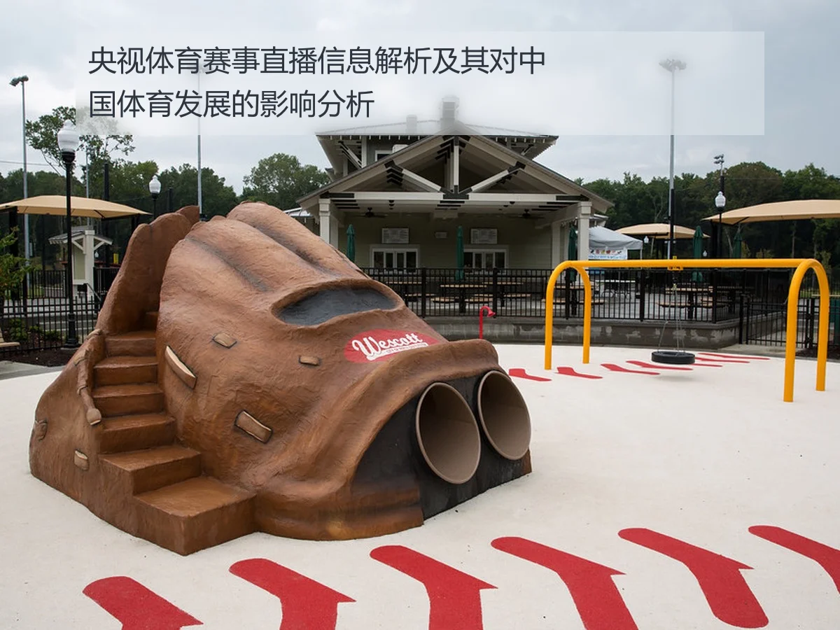 央视体育赛事直播信息解析及其对中国体育发展的影响分析